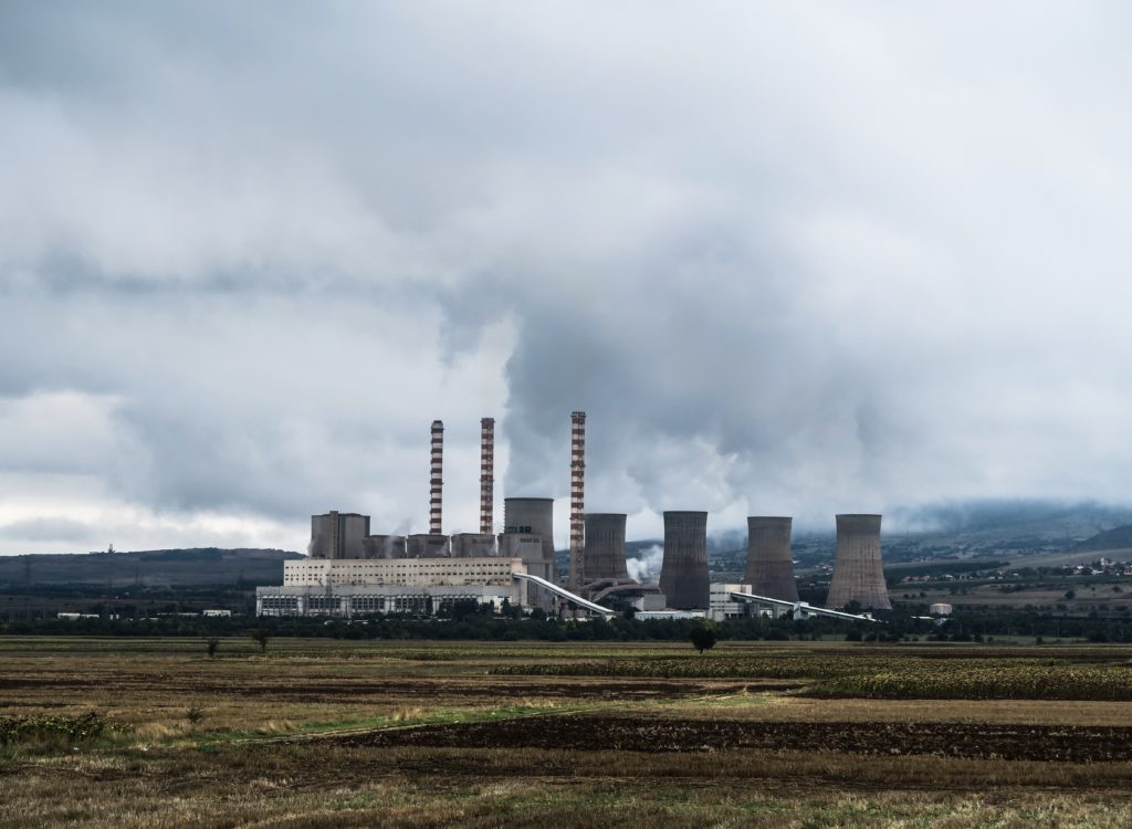 voluntariado ambiental