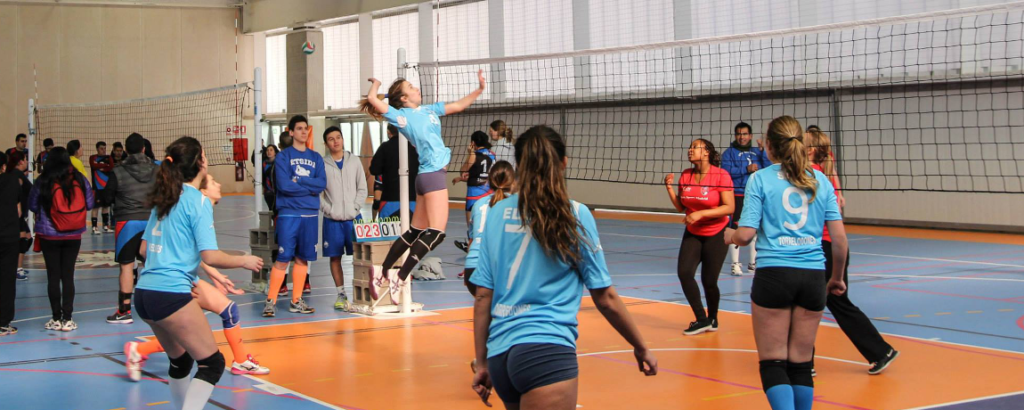 voleibol hobby