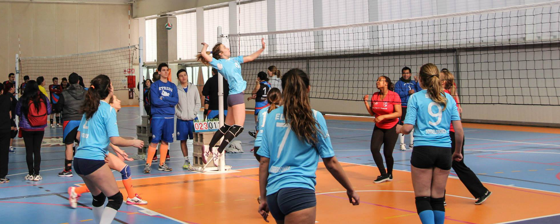Elemental lealtad Espectador Voleibol:Información: qué es, cómo aprender y practicar