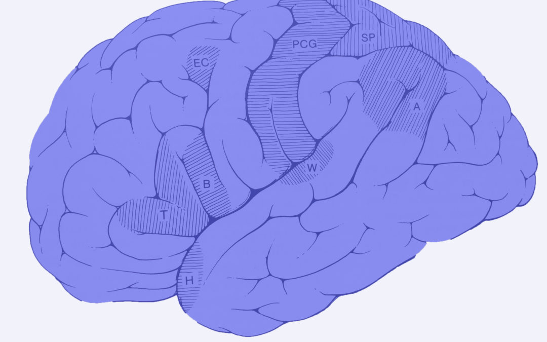 Hobbies en la prevención de demencia y Alzheimer (Parte 1)