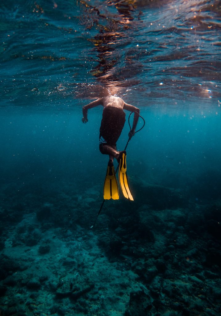 Pesca submarina:Información, qué es, cómo aprender y practicar