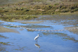 naturaleza