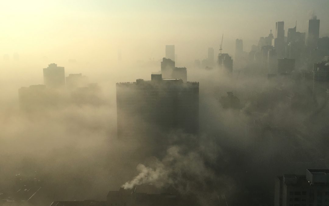 Hobbies y cambio climático