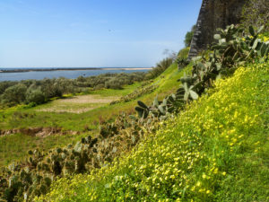 naturaleza hobbies