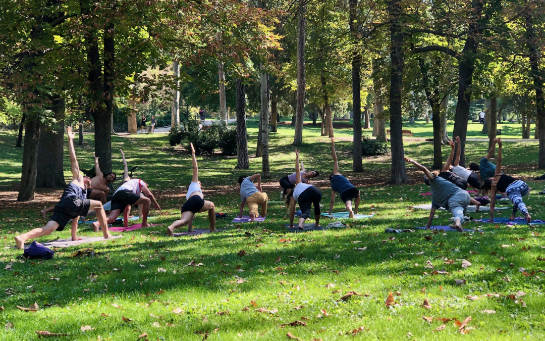 Hobbies, jardines y parques urbanos